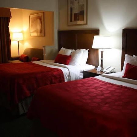 Comfort Suites دنفر المظهر الخارجي الصورة